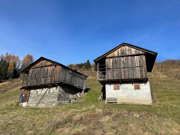pentavano in vendita a San Pietro di Cadore