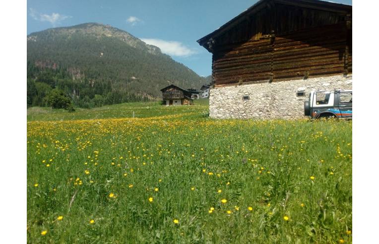 appartamento in vendita a San Pietro di Cadore in zona Presenaio