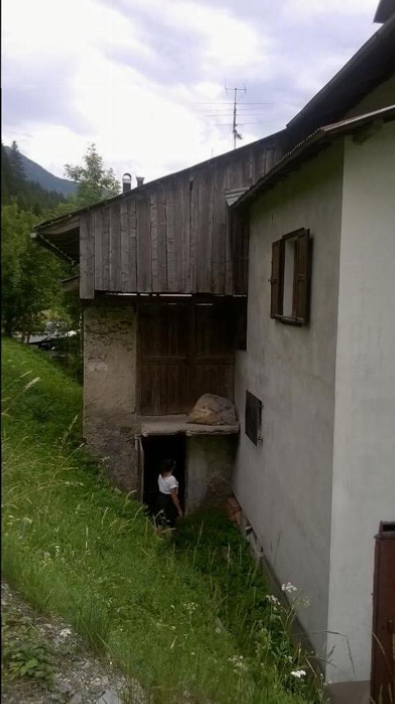 casa indipendente in vendita a San Pietro di Cadore in zona Presenaio