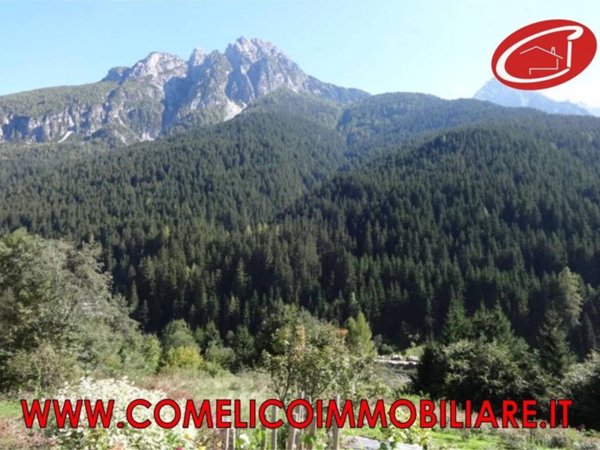 appartamento in vendita a San Pietro di Cadore