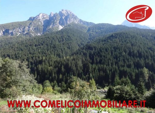 appartamento in vendita a San Pietro di Cadore