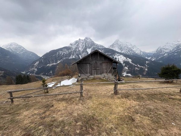 casa indipendente in vendita a San Pietro di Cadore in zona Presenaio