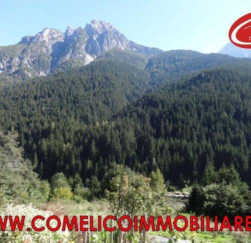 appartamento in vendita a San Pietro di Cadore