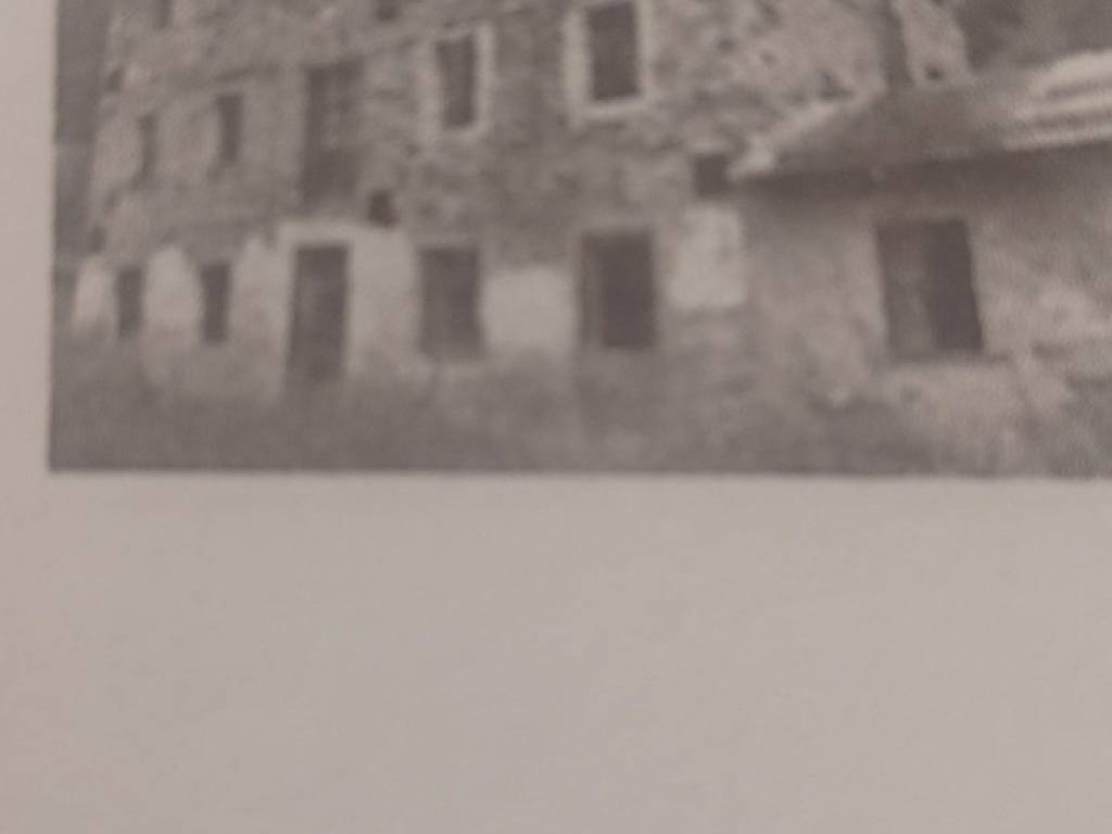 casa indipendente in vendita a San Pietro di Cadore in zona Presenaio