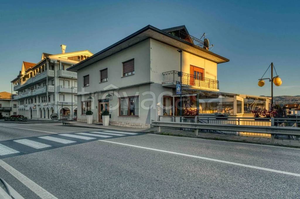 immagine annuncio 0 di 15