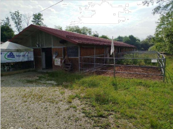 capannone in vendita a Santa Giustina