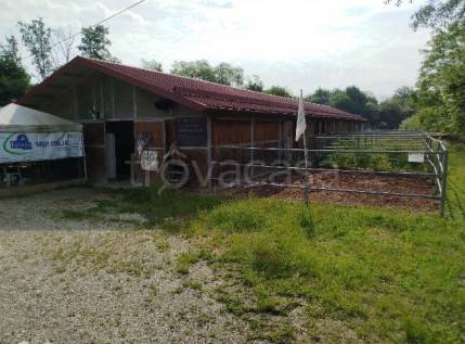 azienda agricola in vendita a Santa Giustina