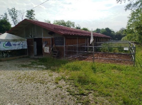 negozio in vendita a Santa Giustina