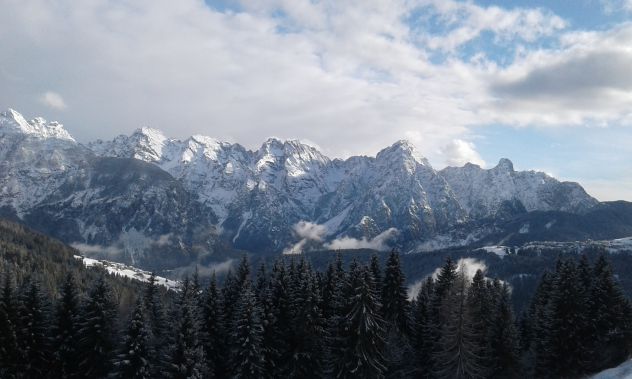 terreno agricolo in vendita a Santo Stefano di Cadore