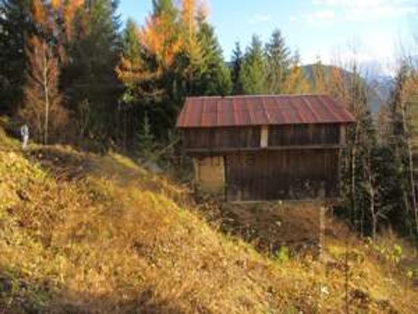 appartamento in vendita a Santo Stefano di Cadore