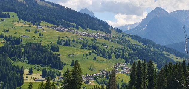 terreno agricolo in vendita a Santo Stefano di Cadore
