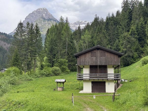 casa indipendente in vendita a Santo Stefano di Cadore in zona Campolongo