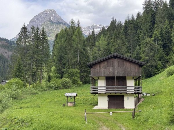 casa indipendente in vendita a Santo Stefano di Cadore in zona Campolongo