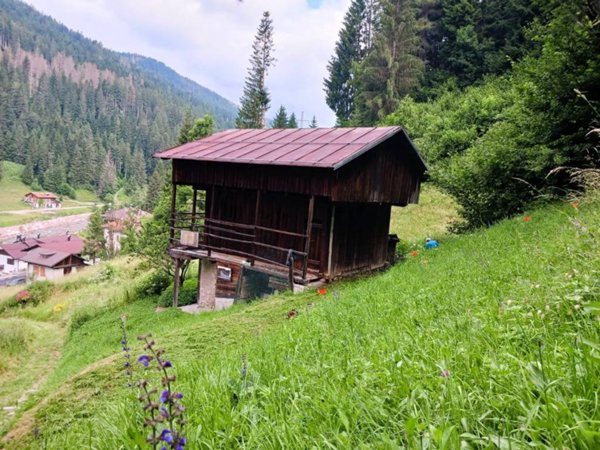 intera palazzina in vendita a Santo Stefano di Cadore