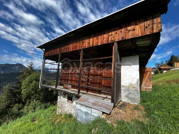 immagine annuncio 0 di 15