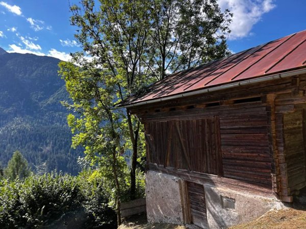 casa indipendente in vendita a Santo Stefano di Cadore