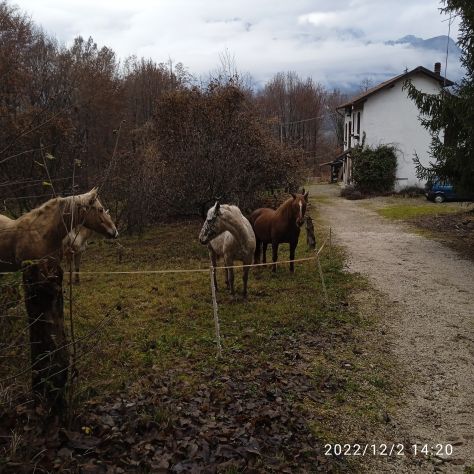 casa indipendente in vendita a Sedico