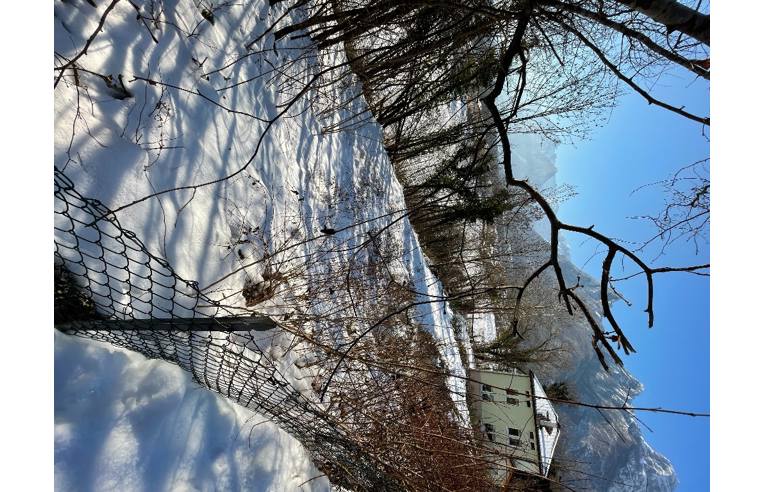 bifamiliare in vendita a Sedico in zona Peron