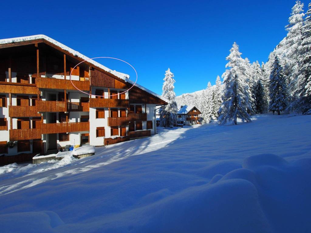 appartamento in vendita a Selva di Cadore
