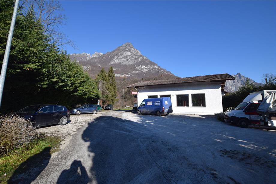 azienda agricola in vendita a Sospirolo