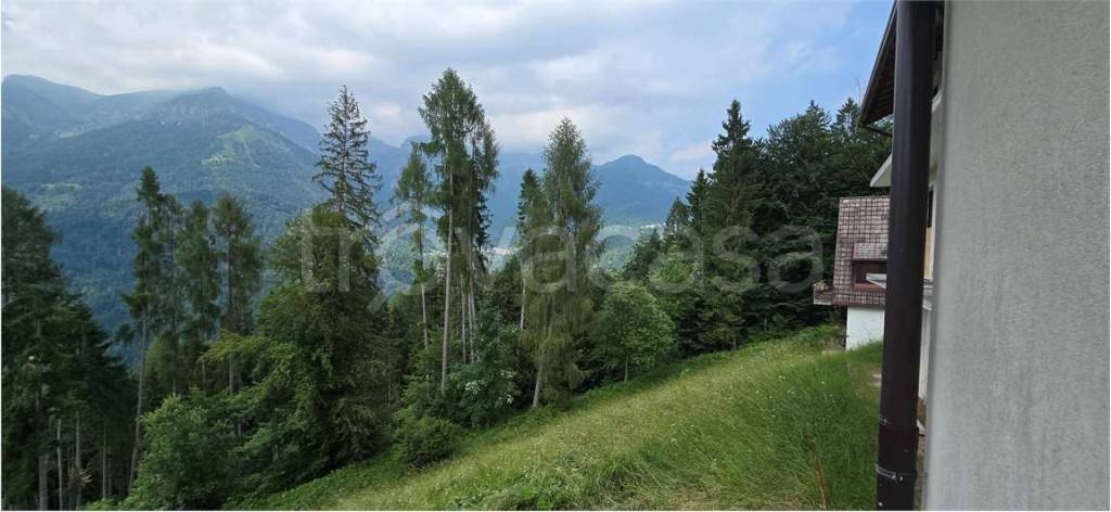 casa indipendente in vendita a Sovramonte