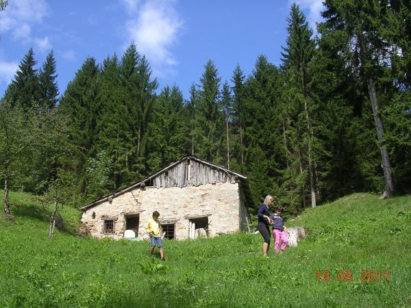 quadrivano in vendita a Sovramonte