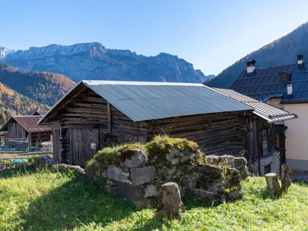 casa indipendente in vendita a Vallada Agordina in zona Celat