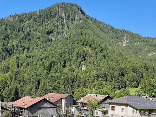 appartamento in vendita a Vallada Agordina in zona Cogul