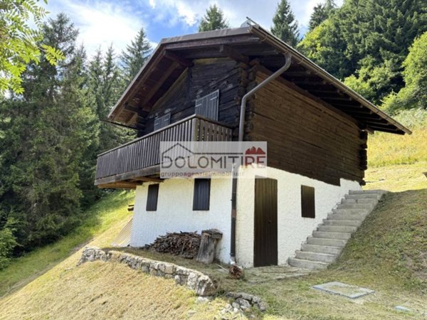 locale di sgombero in vendita a Valle di Cadore in zona Venas