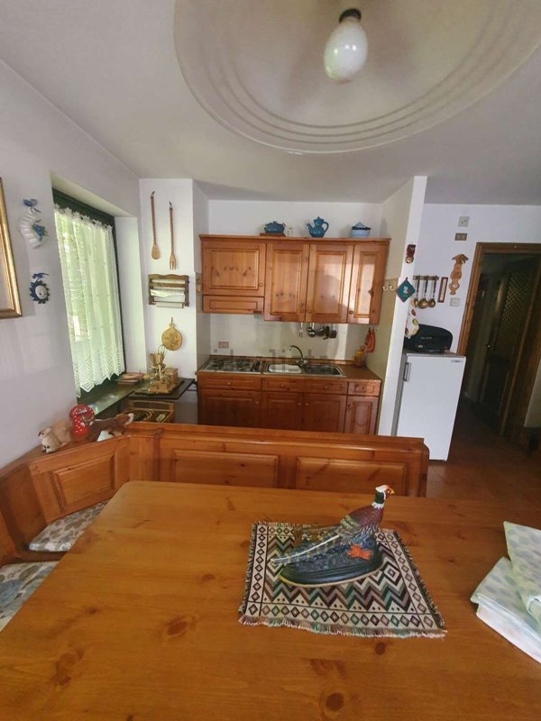 appartamento in vendita a Valle di Cadore in zona Venas