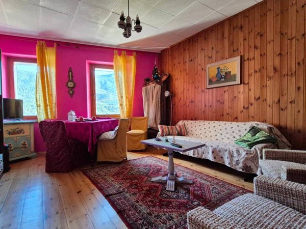 appartamento in vendita a Valle di Cadore in zona Venas
