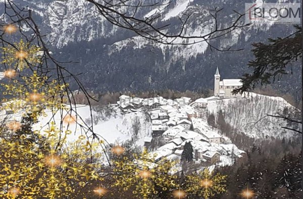terreno edificabile in vendita a Valle di Cadore in zona Vallesina