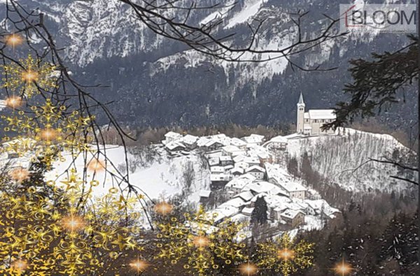 terreno edificabile in vendita a Valle di Cadore in zona Vallesina