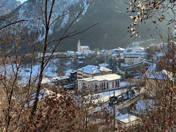 multiproprieta in vendita a Valle di Cadore in zona Venas