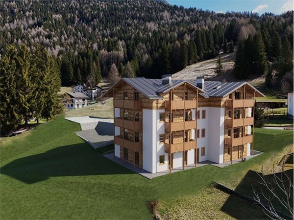 appartamento in vendita a Vigo di Cadore in zona Laggio