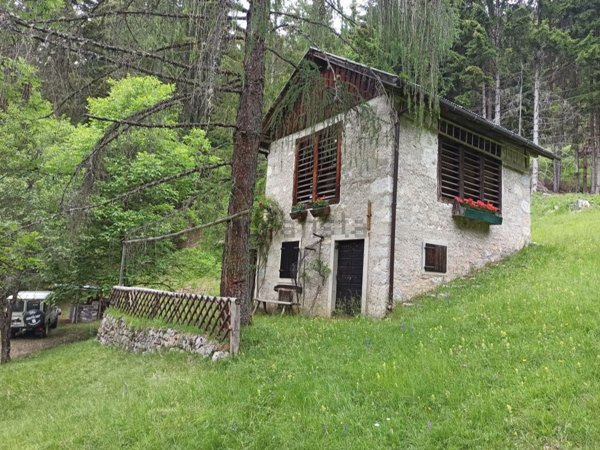 casa indipendente in vendita a Vigo di Cadore