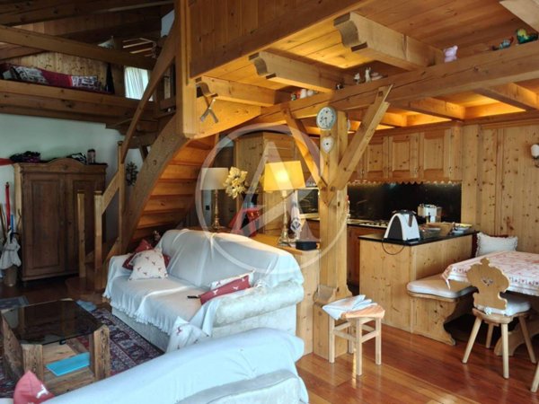 appartamento in vendita a Vodo Cadore