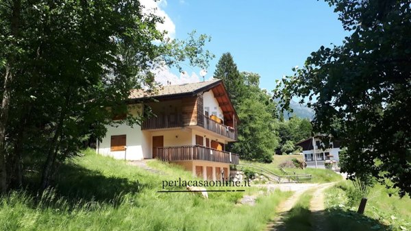 casa indipendente in vendita a Voltago Agordino in zona Frassenè