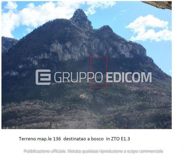 terreno edificabile in vendita a Longarone in zona Provagna