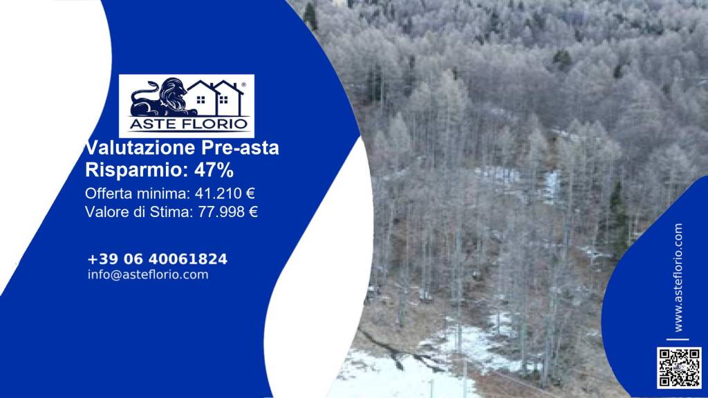 terreno agricolo in vendita a Longarone in zona Dogna