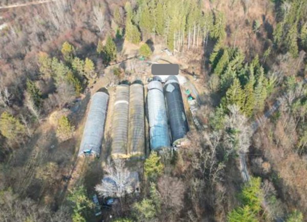 terreno agricolo in vendita a Longarone in zona Dogna