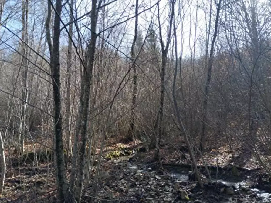 terreno agricolo in vendita ad Alpago