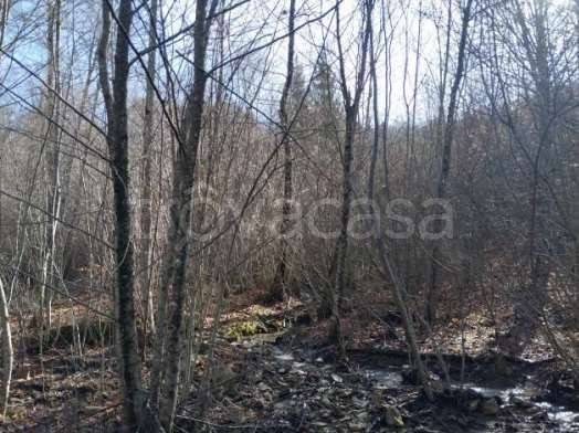 monolocale in vendita ad Alpago