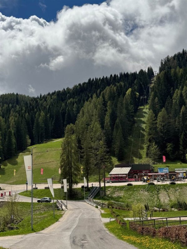 immagine annuncio 0 di 15