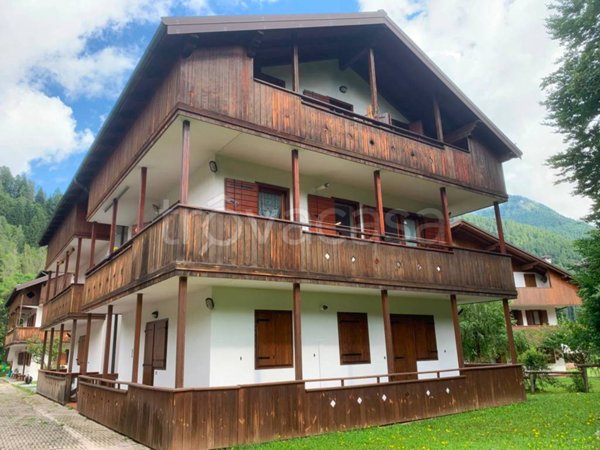 appartamento in vendita a Val di Zoldo in zona Pralongo
