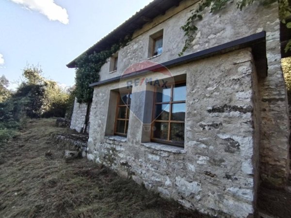 casa indipendente in vendita a Borgo Valbelluna in zona Boschi