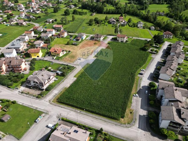 terreno edificabile in vendita a Borgo Valbelluna in zona Trichiana