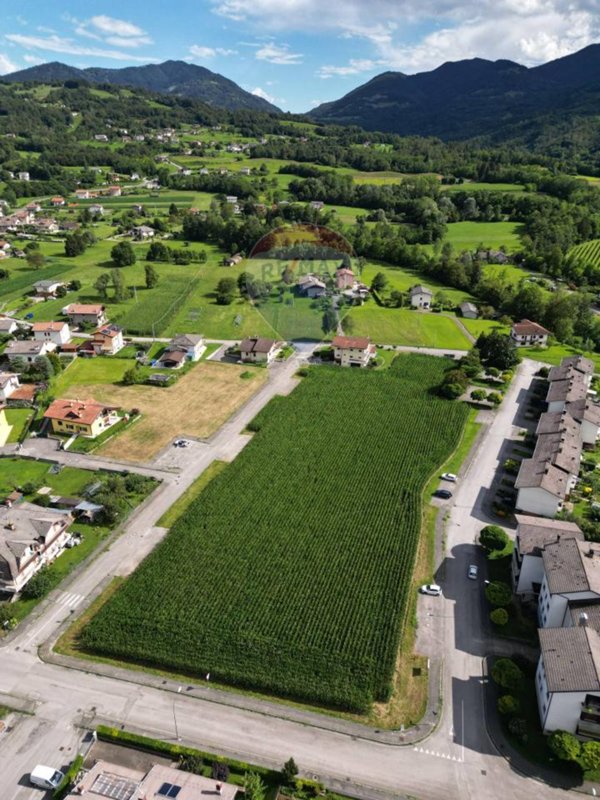 terreno edificabile in vendita a Borgo Valbelluna in zona Trichiana