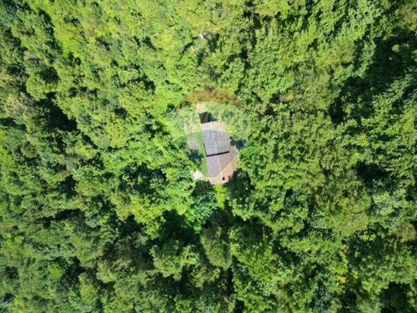 casa indipendente in vendita a Borgo Valbelluna in zona -Rive di Villa
