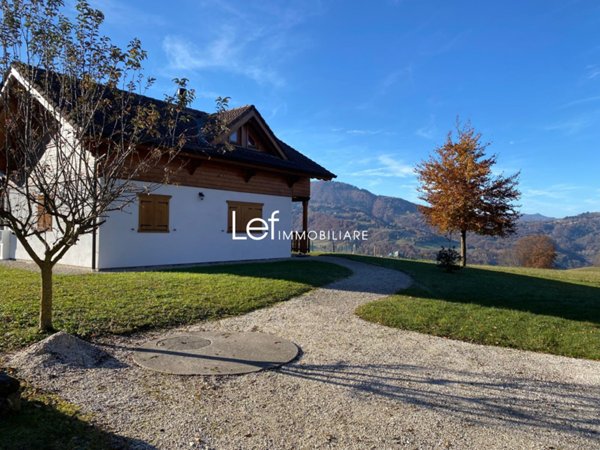 casa indipendente in vendita a Borgo Valbelluna in zona Trichiana